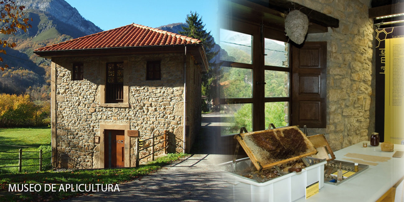 museo-de-apicultura-el-caso-asturias